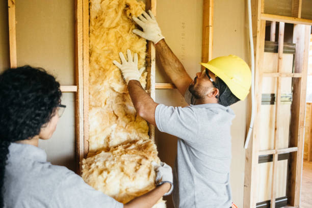 Reflective Insulation in Novato, CA