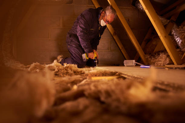 Best Insulation Air Sealing  in Novato, CA